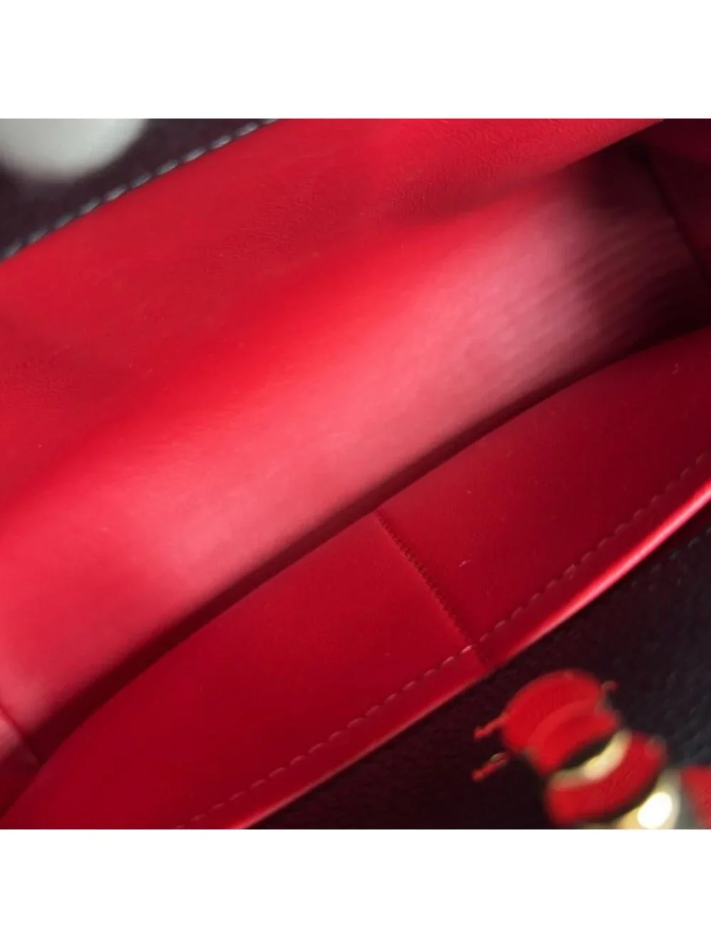Louis Vuitton brand louis
